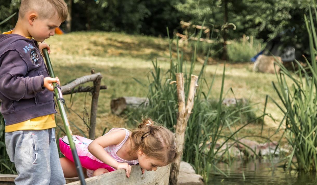 Pond Dipping