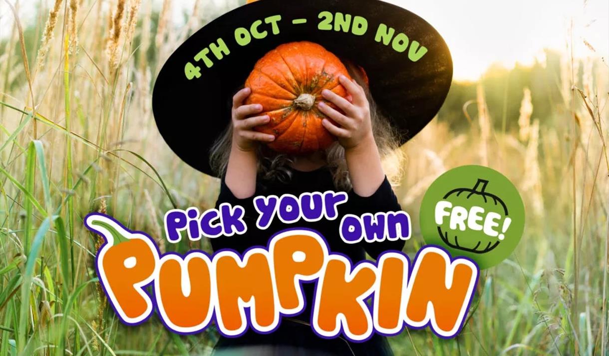 Pumpkin Picking