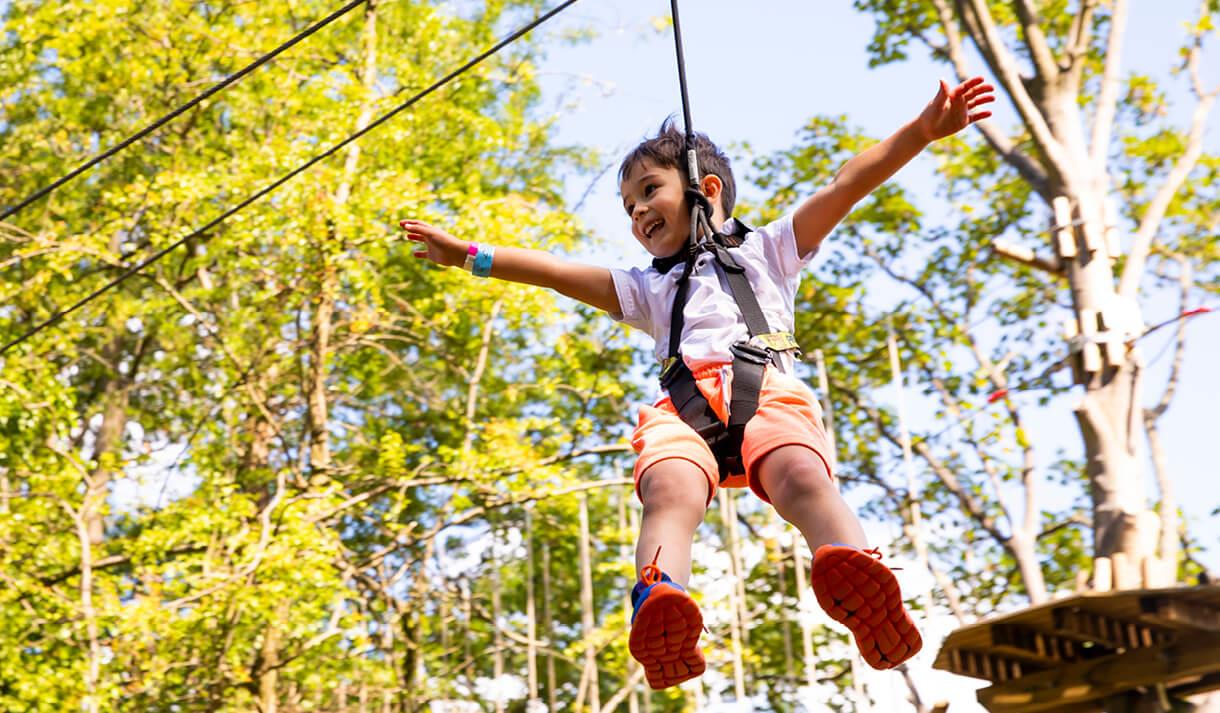 Go Ape at Sherwood Pines | Nottingham