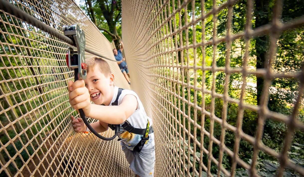Summer Holidays at Go Ape