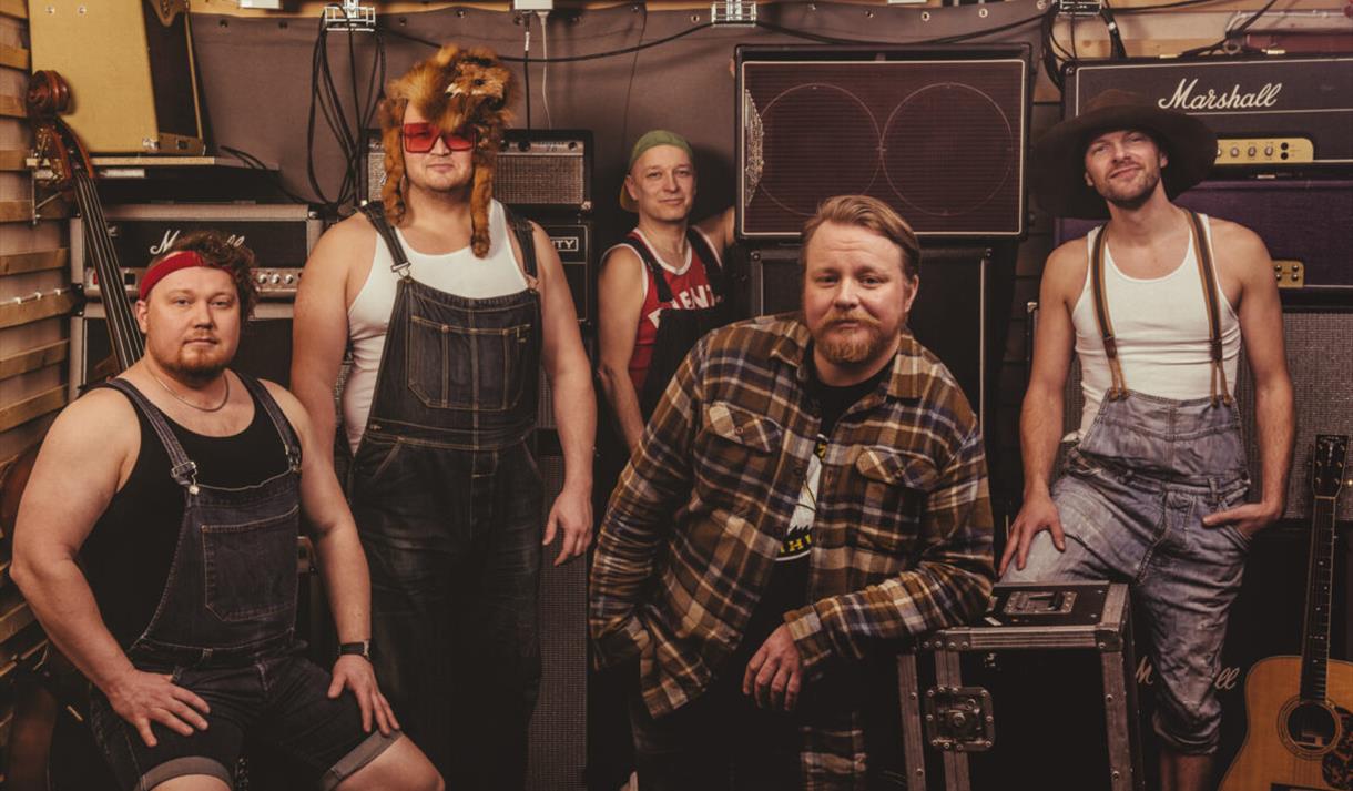 Steve 'n' Seagulls