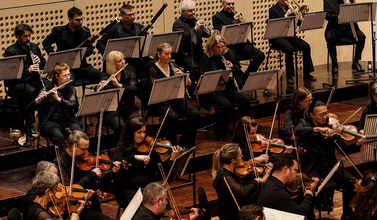 Sinfonia Viva - Beethoven’s Fifth & Elgar’s Violin Concerto

