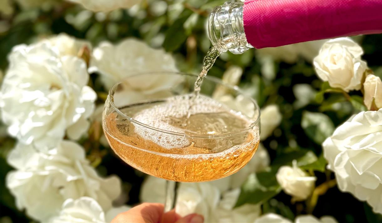 Summer Wine Tasting Evening at Norwood Park 2026
