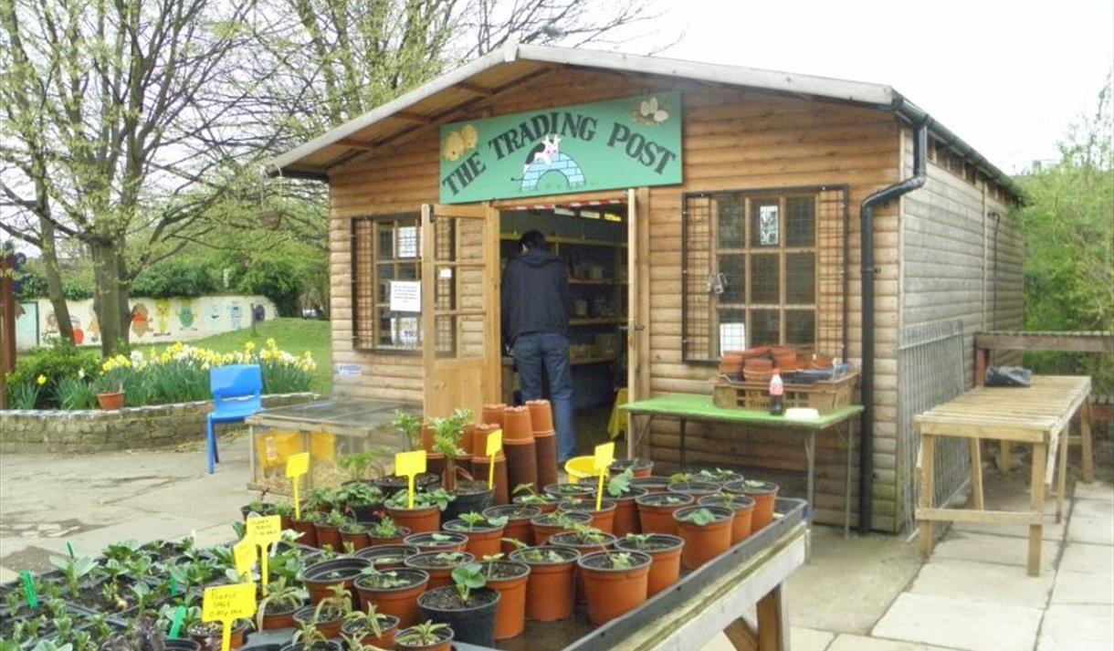 October Half Term At Stonebridge City Farm Visit Nottinghamshire