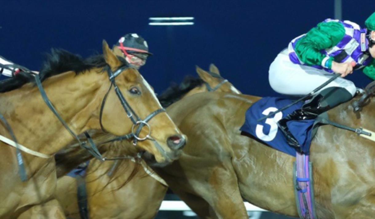 Tuesday Evening Racing
