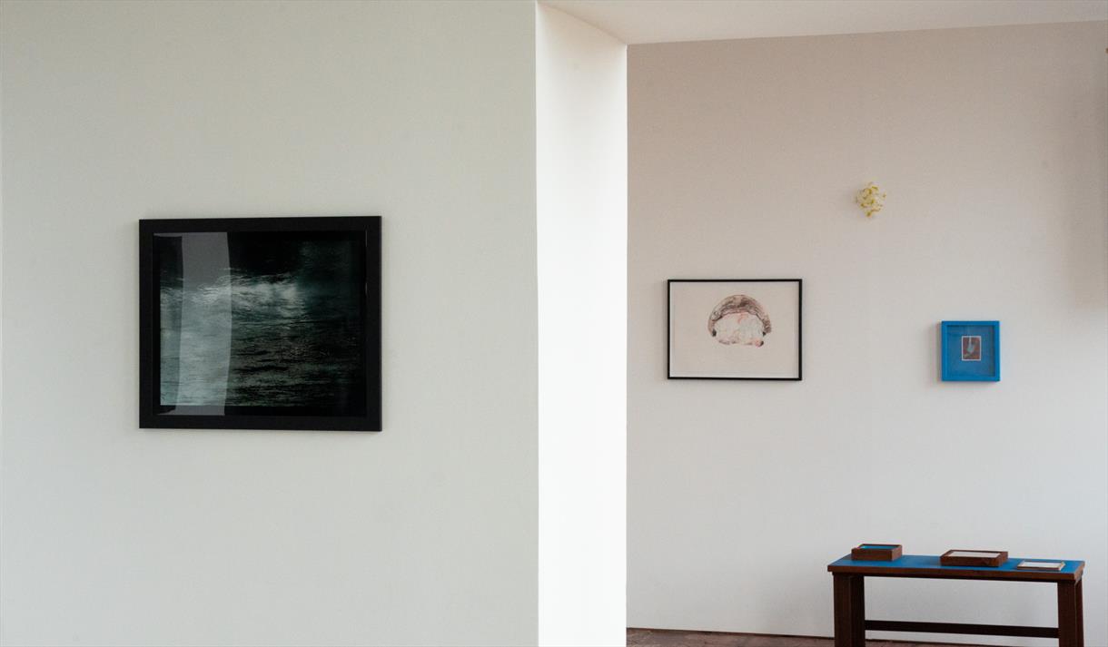 EDITION26: Reflections
