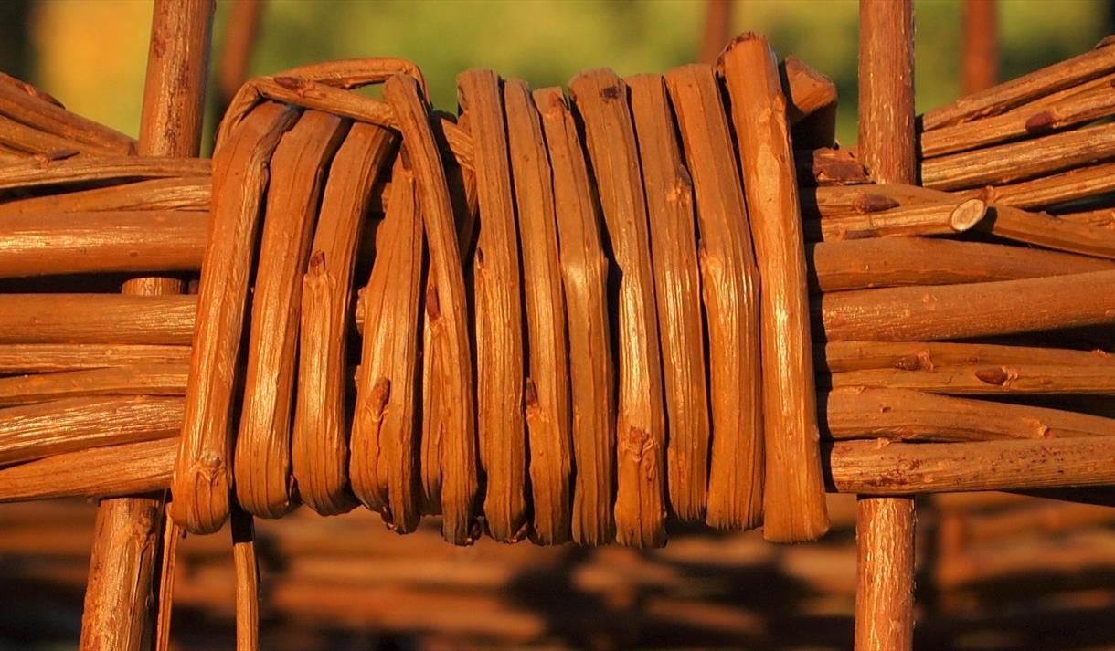 Photo of a Willow Obelisk.