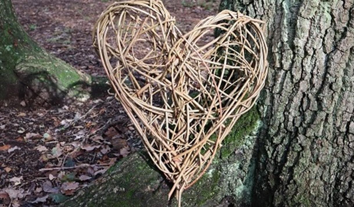 Valentine's Willow Weaving Workshop