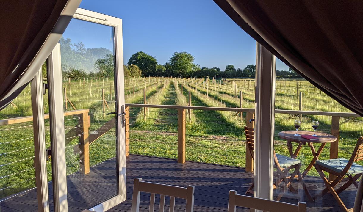 Wolds Wine Estate | Nottinghamshire