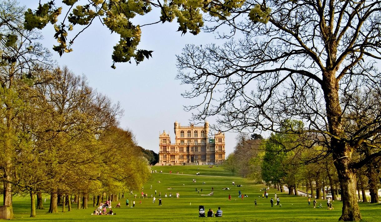 Picture of Wollaton Park