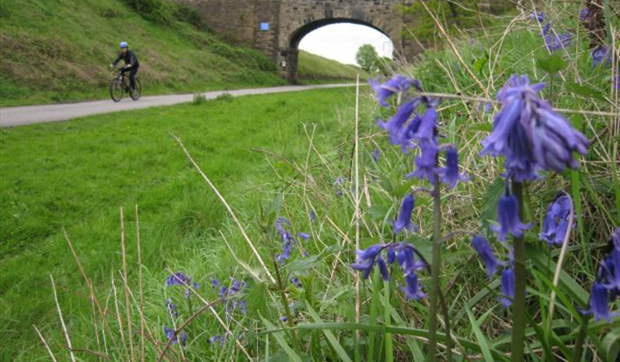 Newark to Cotham Cycle Route