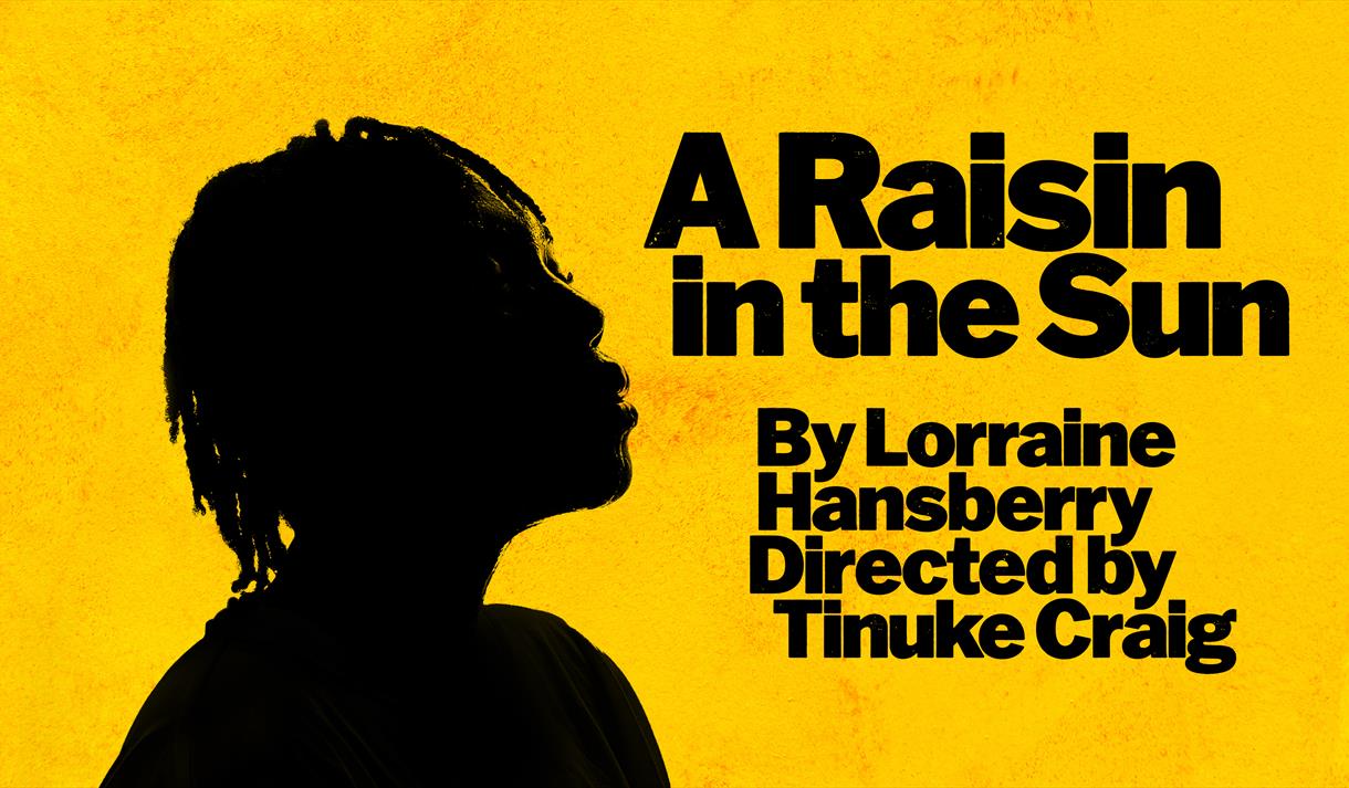 Graphic of the show including the title and a woman in silhouette against a bright yellow background.