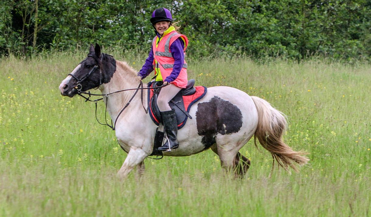 Derbyshire Pony Trekking