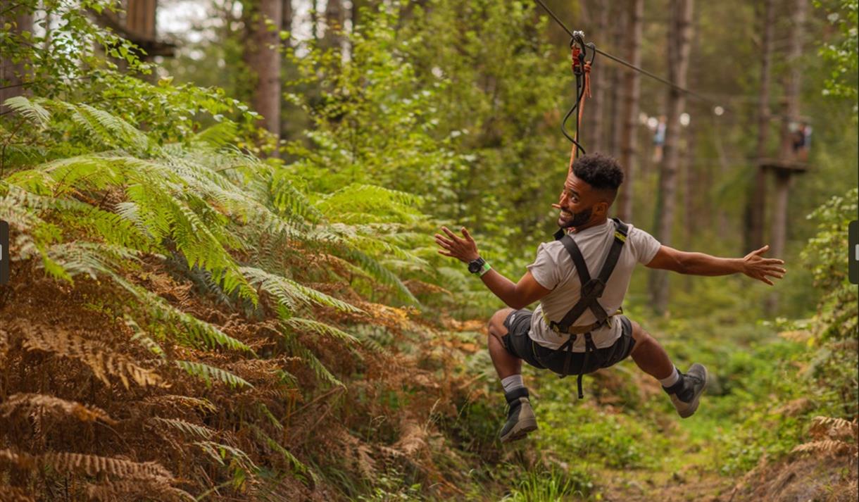 Go Ape at Sherwood Pines