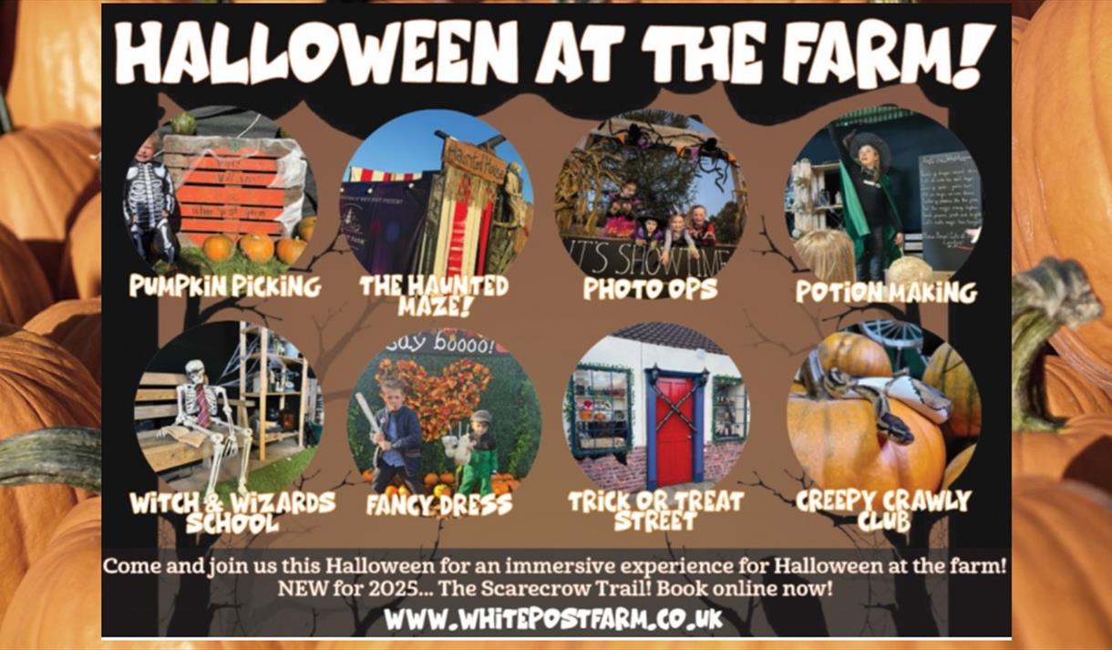 Halloween at the farm