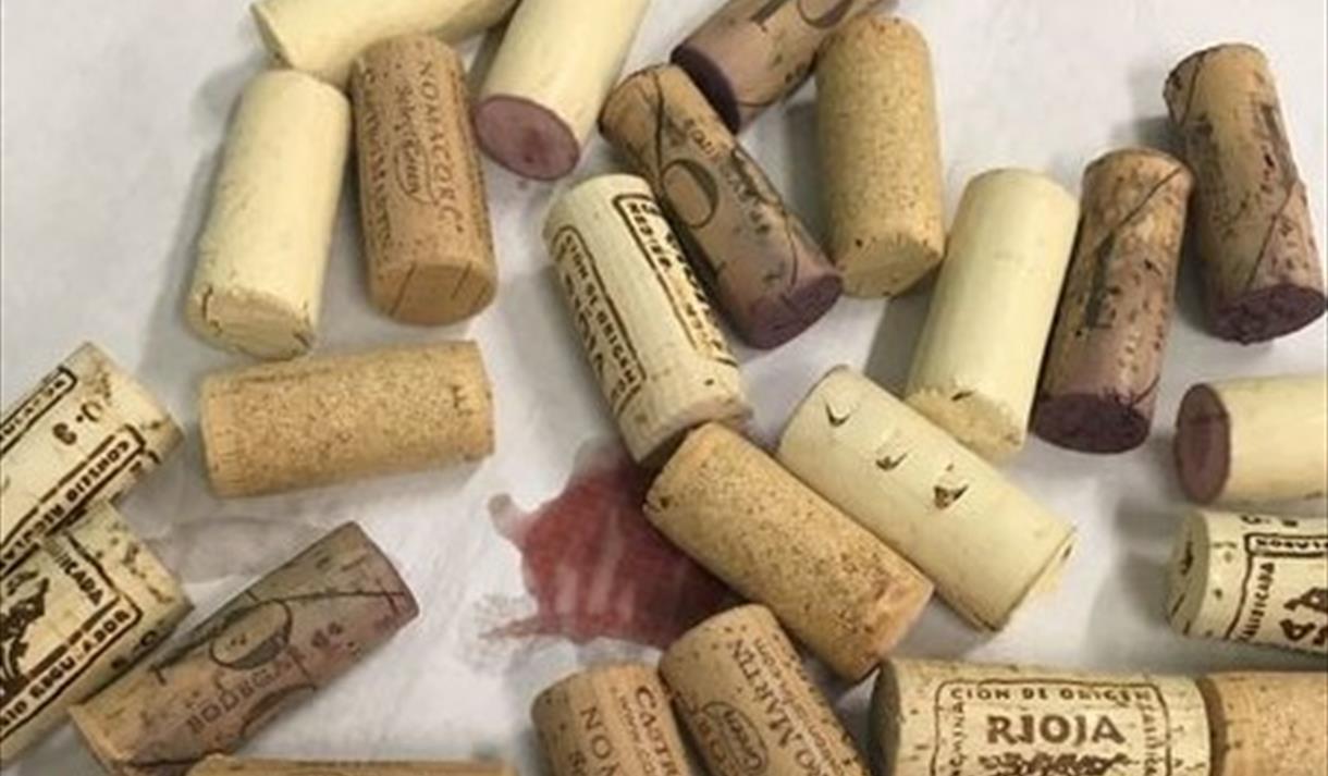 new world vs old world wine tasting November 2023
