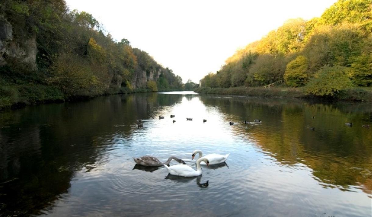 Creswell Crags, Nottinghamshire