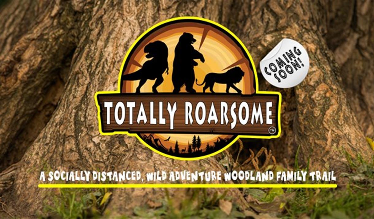 Family adventure park Totally Roarsome opens this weekend