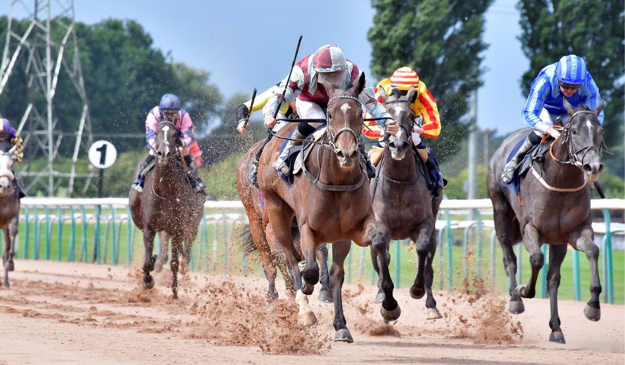 Southwell Racecourse
