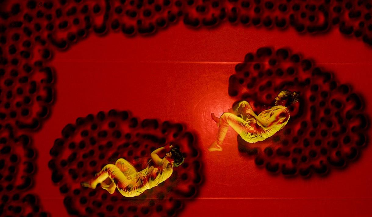 Light Night: More Than Human
