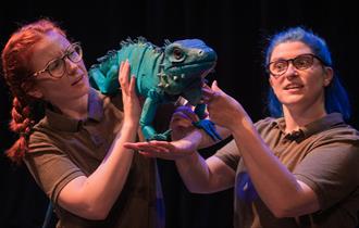 Scarlet Oak Theatre THE ZOO THAT COMES TO YOU Image