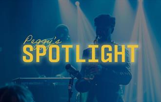 Spotlight poster
