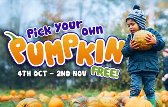 pumpkin picking