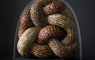 KATE MccGWIRE Quiver