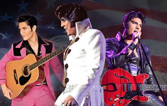 Elvis Tribute Artist World Tour

