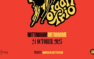 Poster for Delvon Lamarr Organ Trio