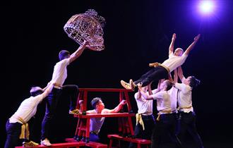 TS Crew NO DRAGON NO LION Image