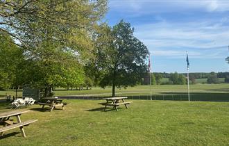 Benches and greenery at Thoresby Park