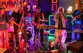 Image of the band Salmagundi