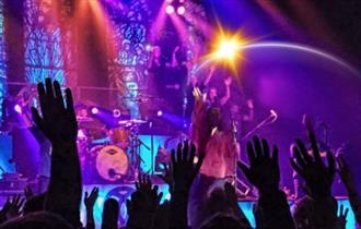 concert crowd