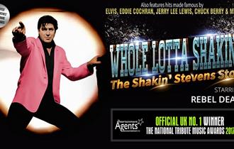 poster for performance