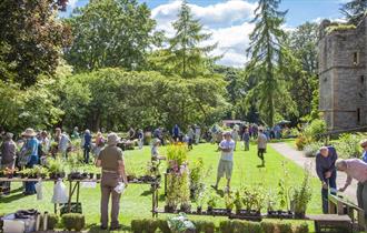 Plant Hunters' Fair