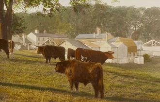 health and the countryside