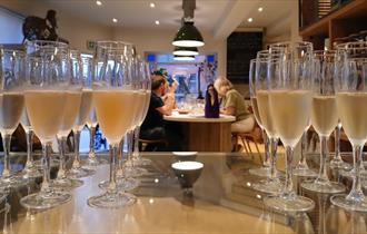 Cheese and Wine Evening