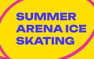 Summer Ice Skating poster