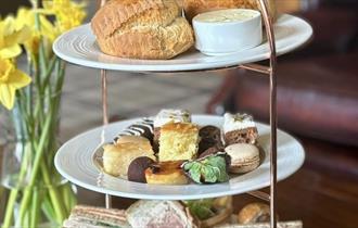 Afternoon tea