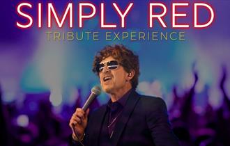 Holding Back The Years - The Ultimate Simply Red Tribute Experience event graphic 
