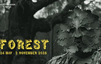 Forest exhibition