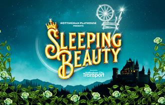 poster for sleeping beauty