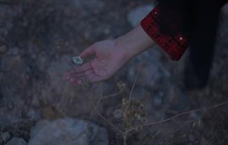 Basel Abbas & Ruanne Abou-Rahme
