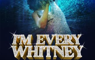 Every Whitney Graphic