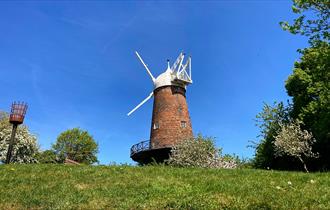 Green's windmill

