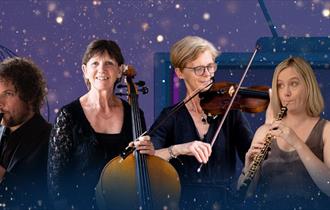 Sinfonia Viva's New Year's Eve Gala
