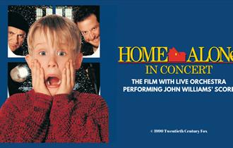 poster for home alone the musical