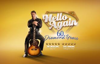 image of neil diamond