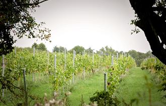 Hanwell Wine Estate | Visit Nottinghamshire